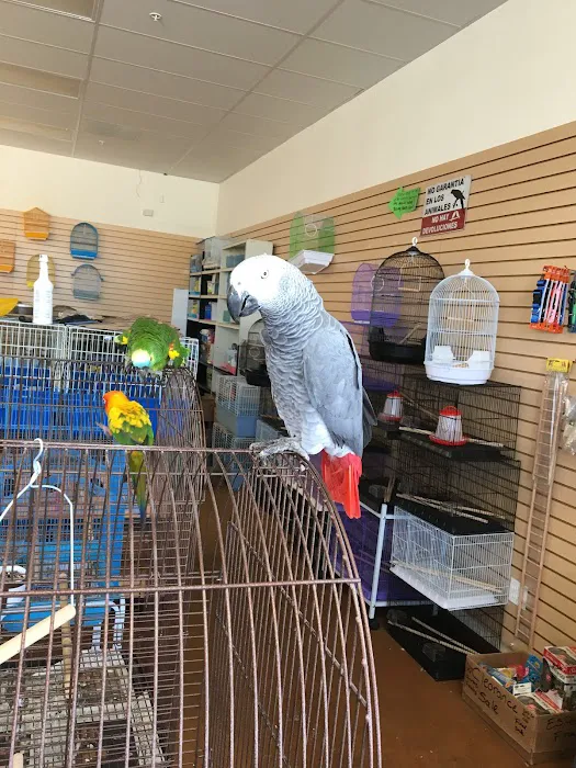 Gaby's pet shop Picture 8