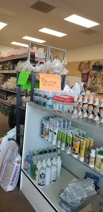 Gaby's pet shop Picture 2