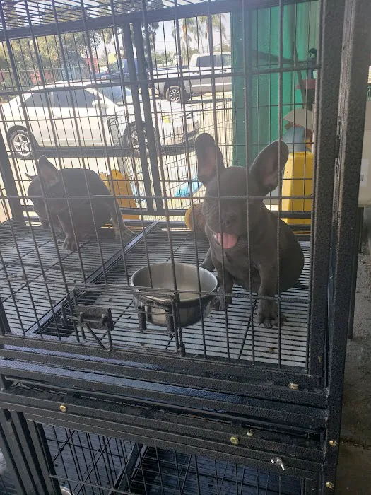 Weros Pet Shop Picture 9