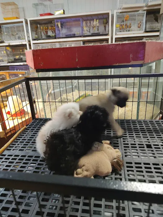 Weros Pet Shop Picture 2