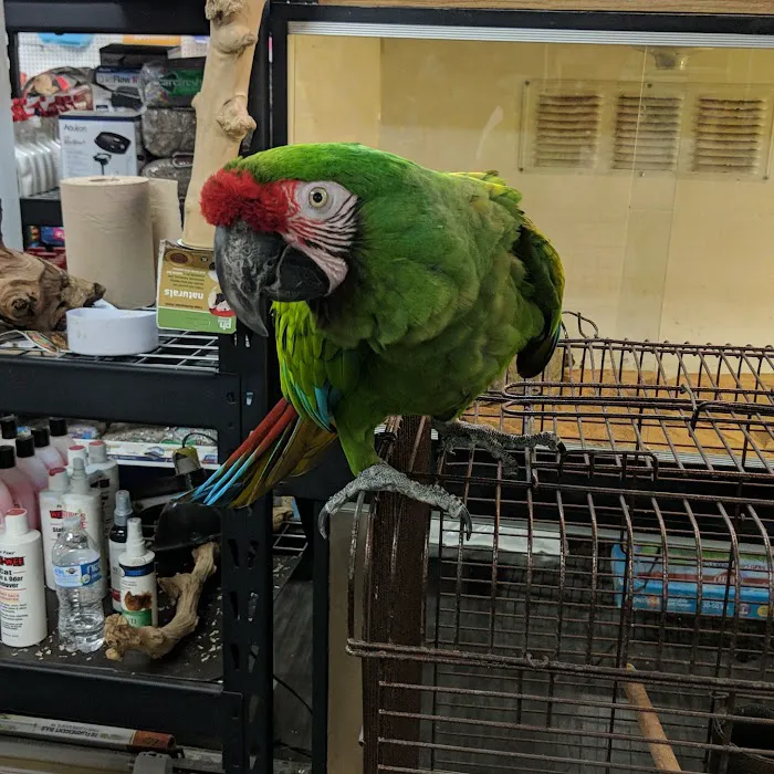 Weros Pet Shop Picture 8