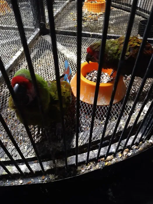 Weros Pet Shop Picture 3