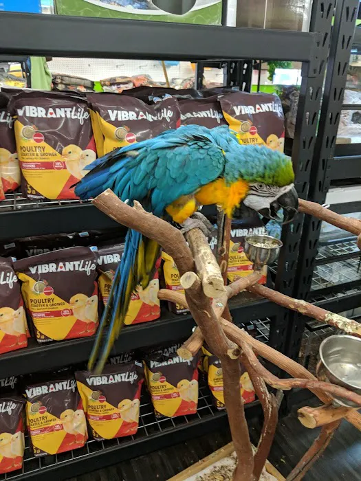 Weros Pet Shop Picture 5
