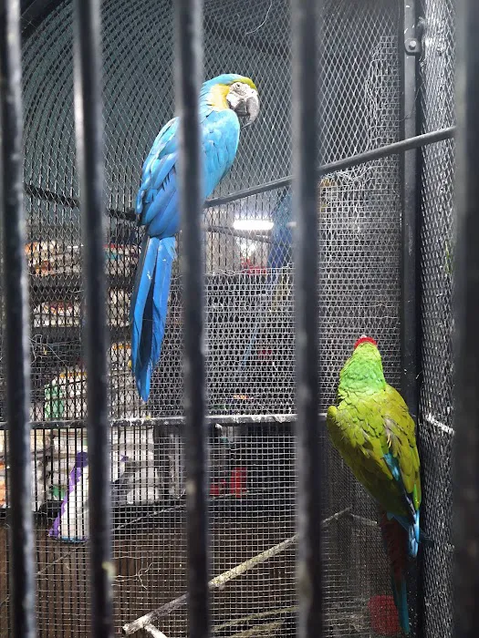 Weros Pet Shop Picture 4