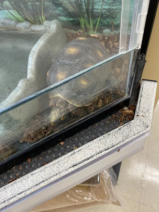 Petco Picture 9