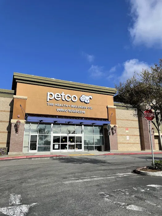 Petco Picture 8
