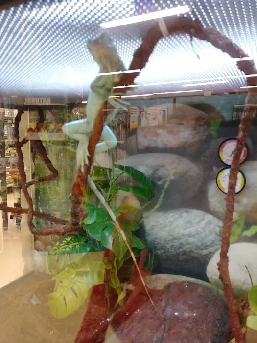 Petco Picture 6