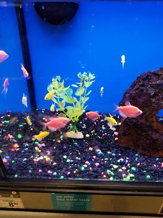 Petco Picture 7