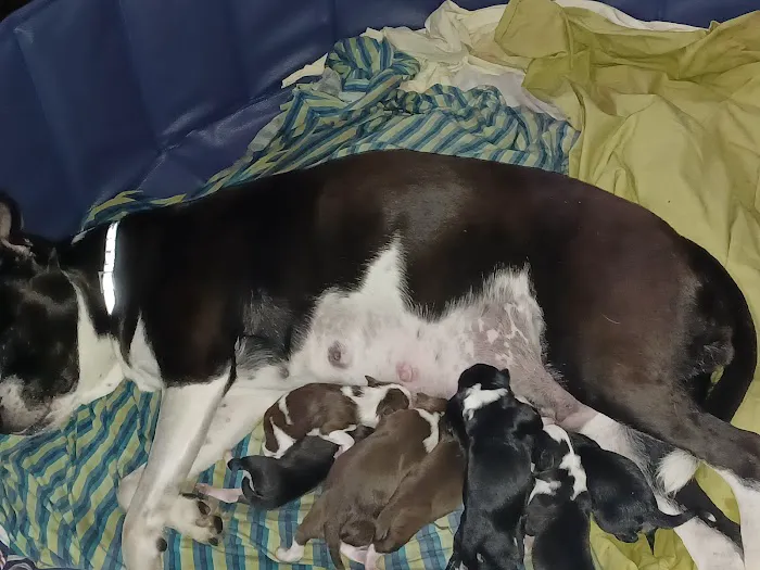 Bloomingrove Veterinary Hospital Picture 5