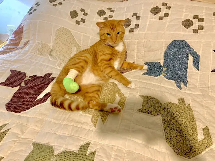 Bloomingrove Veterinary Hospital Picture 7