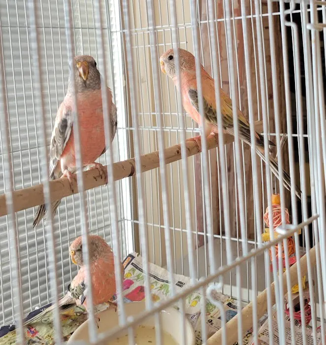 Bloomingrove Veterinary Hospital Picture 6