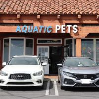 KMA Aquatic Pets ico