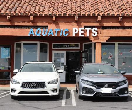 KMA Aquatic Pets