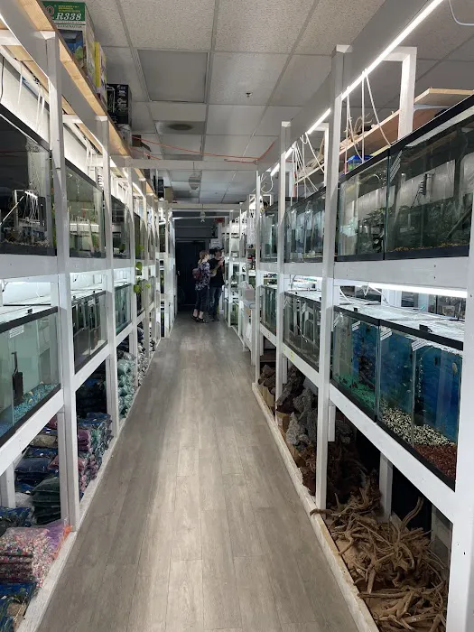 KMA Aquatic Pets Picture 10