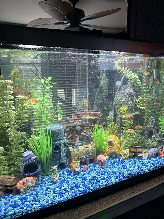 KMA Aquatic Pets Picture 6