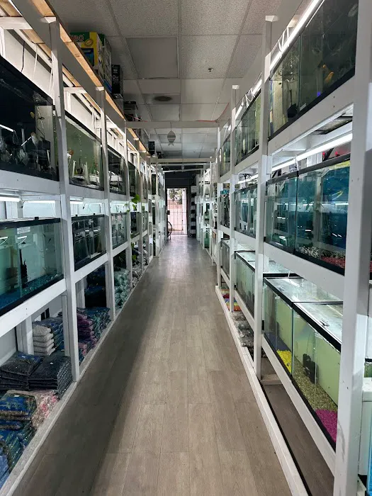 KMA Aquatic Pets Picture 4