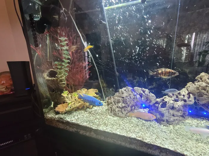 The Mystic Reef Picture 8