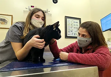 Pittsfield Veterinary Hospital Picture 1