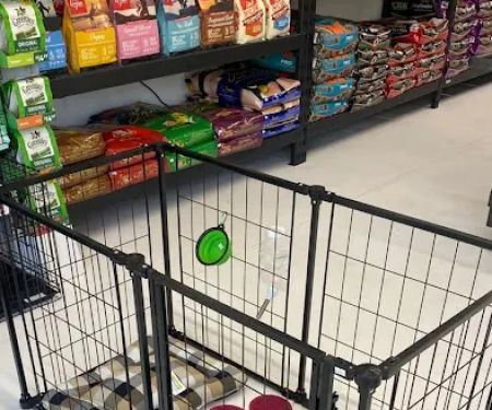 Pet vip stores & services