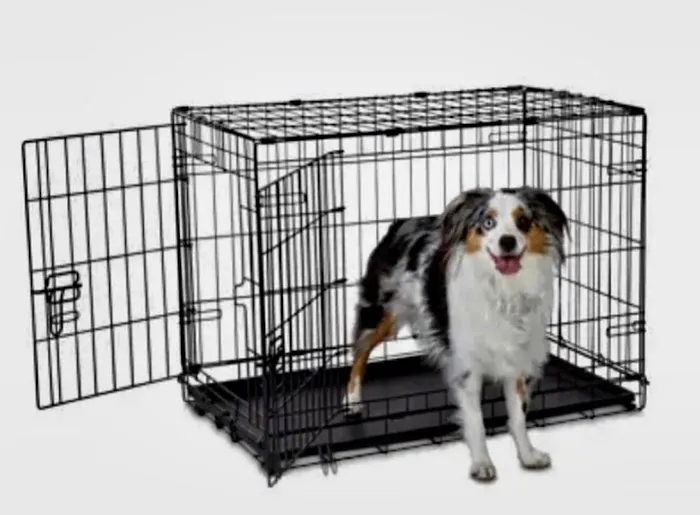 Pet vip stores & services Picture 5