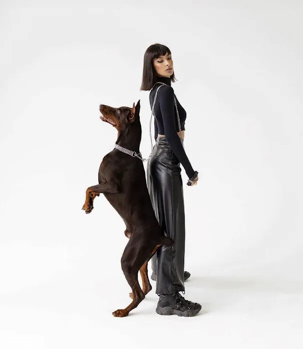 Pet vip stores & services Picture 4
