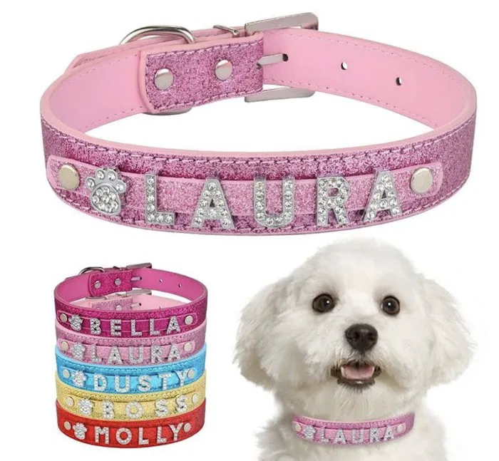 Pet vip stores & services Picture 10