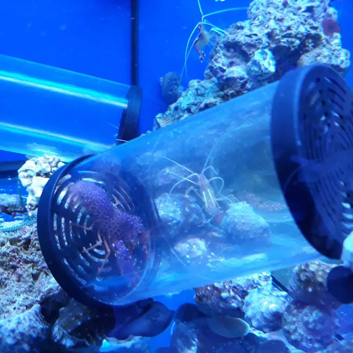 Vivid Aquariums Inc Picture 6