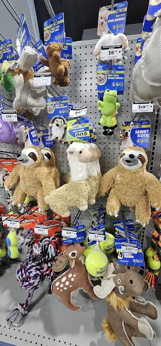 Pet Supreme Picture 5