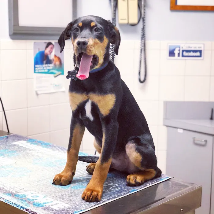 Broad River Animal Hospital Picture 4