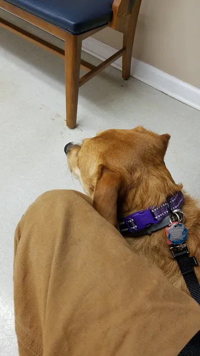 Broad River Animal Hospital Picture 6