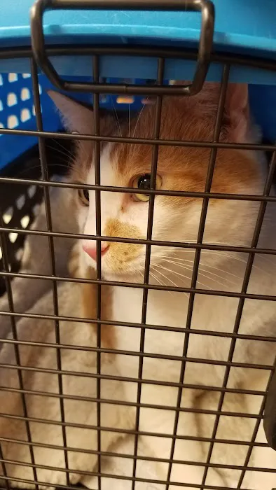 Broad River Animal Hospital Picture 5