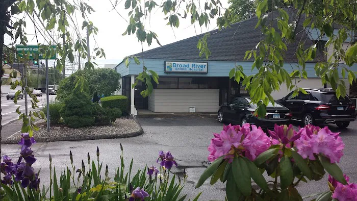 Broad River Animal Hospital Picture 2