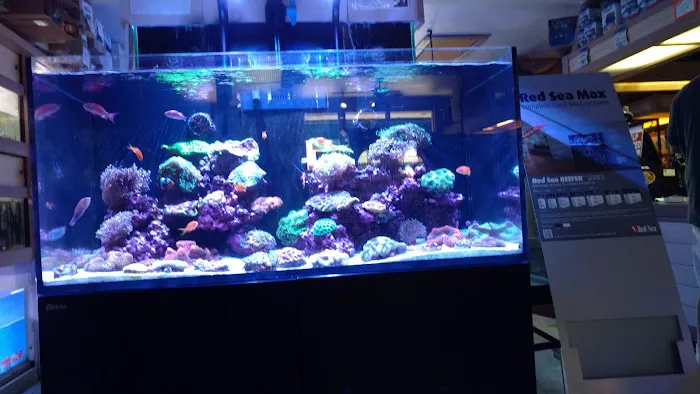Aquarium City Picture 5