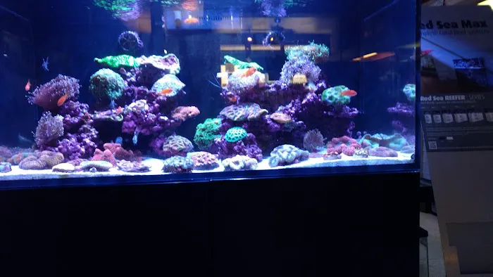 Aquarium City Picture 9