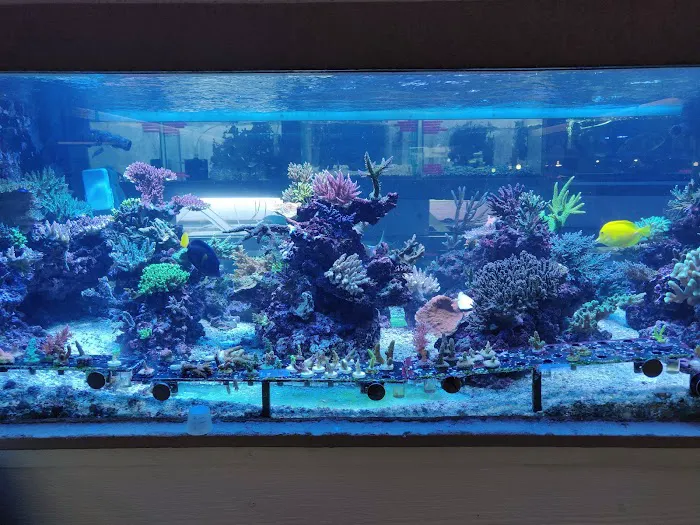 Aquarium City Picture 8