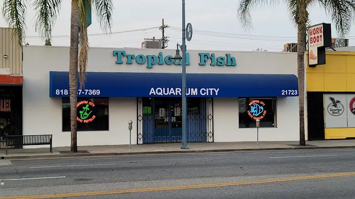 Aquarium City Picture 3