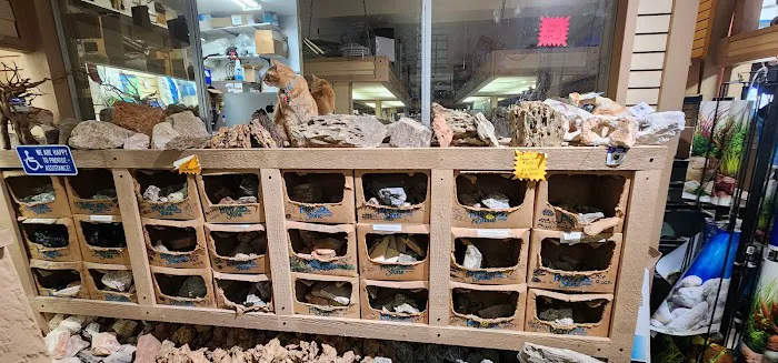 Aquarium City Picture 1
