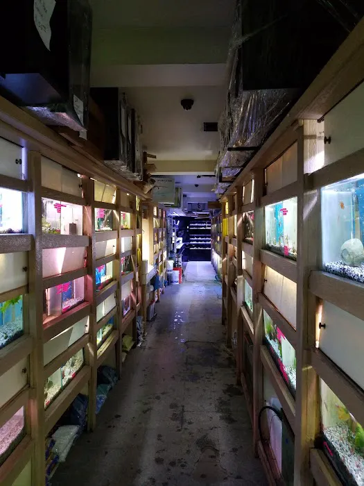 Aquarium City Picture 6