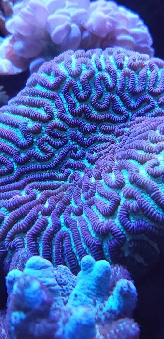 Aquarium City Picture 10