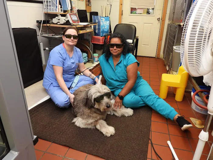 Norwalk Animal Hospital Picture 4