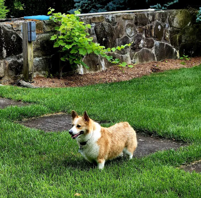 Norwalk Animal Hospital Picture 7