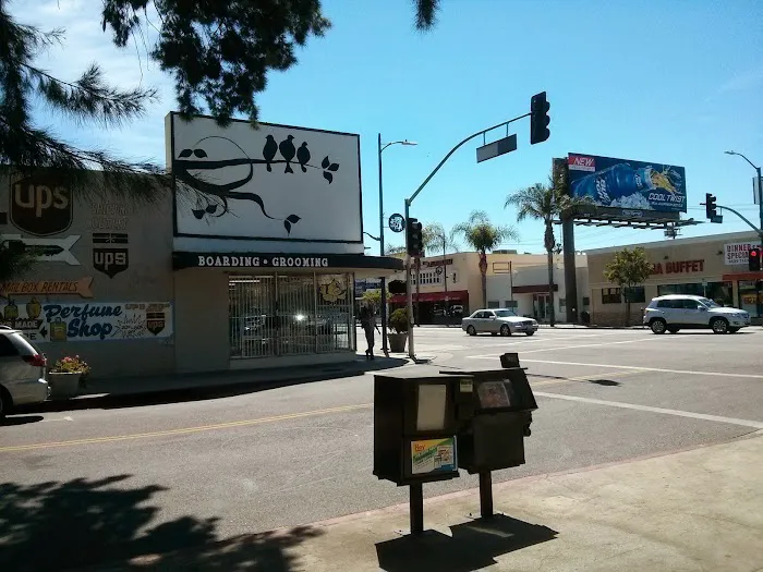 Canoga Discount Birds Picture 1