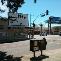 Canoga Discount Birds ico