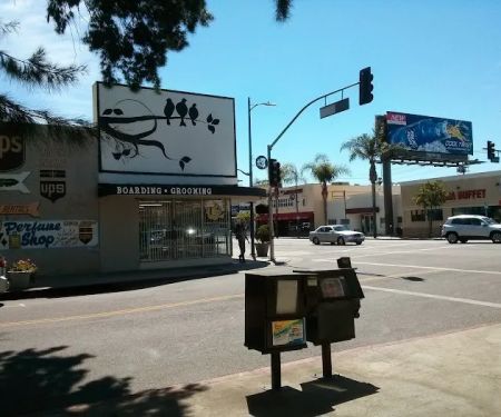 Canoga Discount Birds