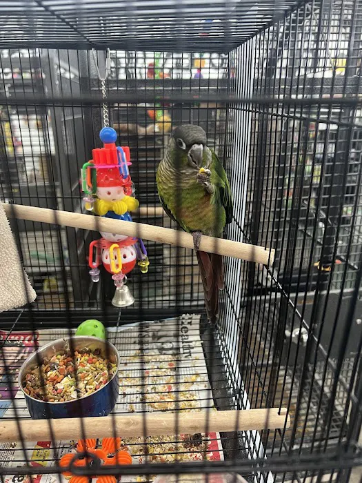 Canoga Discount Birds Picture 9