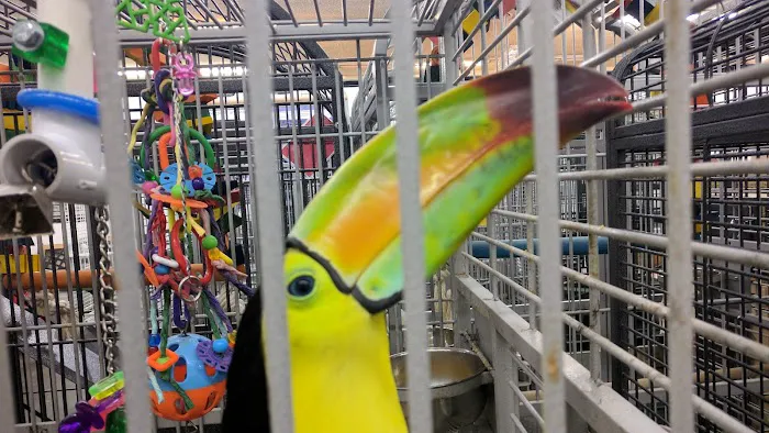 Canoga Discount Birds Picture 5