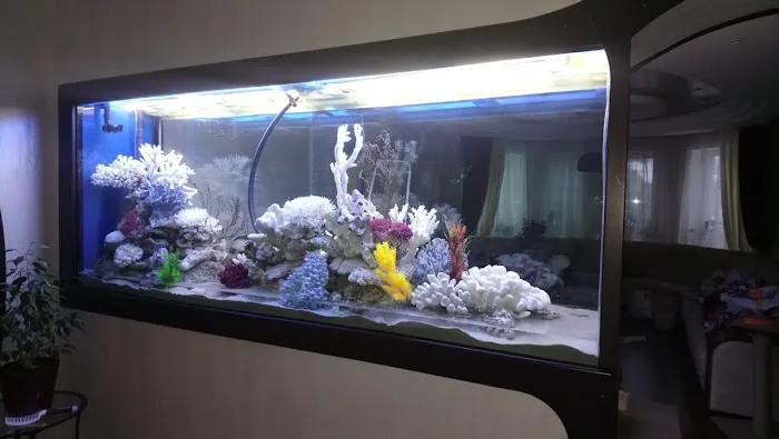 AquaPro Aquarium Service Picture 1