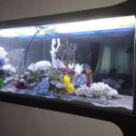 AquaPro Aquarium Service