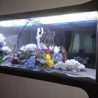 AquaPro Aquarium Service ico