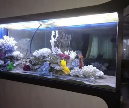 AquaPro Aquarium Service